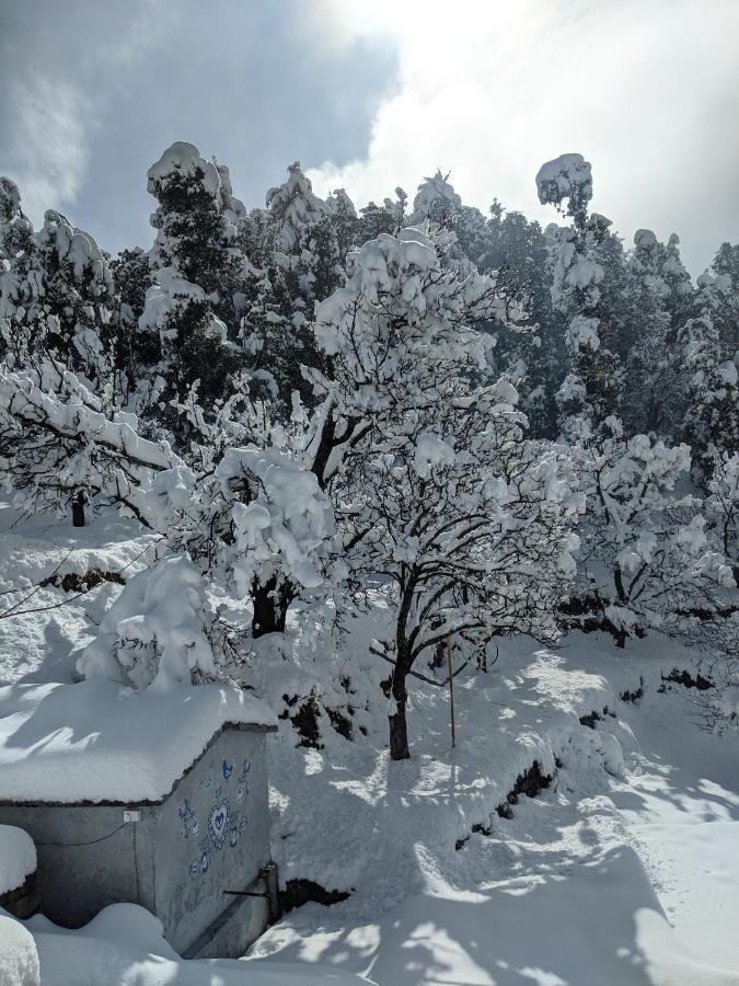Namastay Himalayas, 카나탈 외부 사진