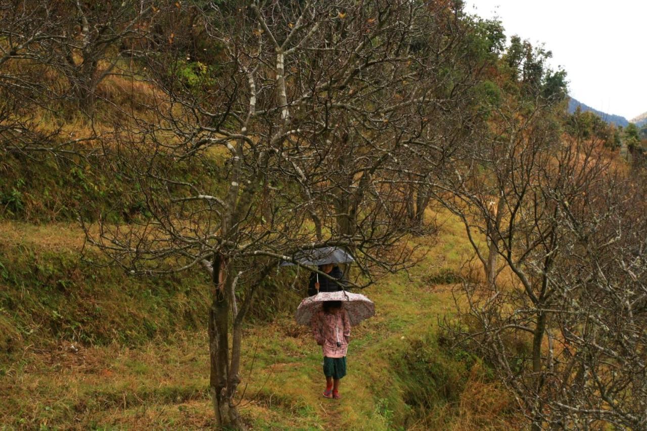 Namastay Himalayas, 카나탈 외부 사진