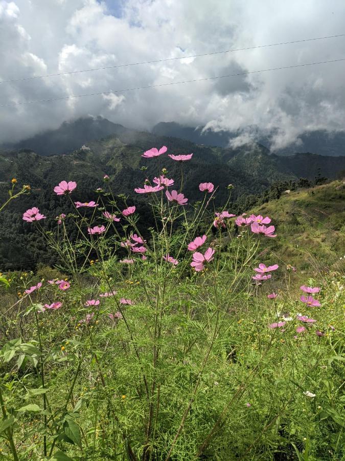 Namastay Himalayas, 카나탈 외부 사진